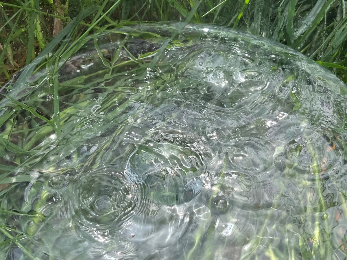 Proof or proof enough? Part&nbsp;1